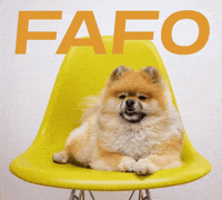 Angry Find Out GIF by Sealed With A GIF