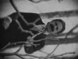 Band Broadside GIF by Thriller Records