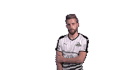 Diefohlen Borussiaesports Sticker by Borussia Mönchengladbach