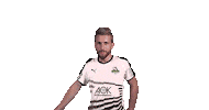 Diefohlen Borussiaesports Sticker by Borussia Mönchengladbach