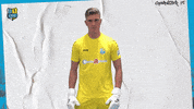 Football Save GIF by ChemnitzerFC