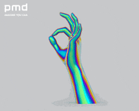 pmdtechnologies reaction 3d ok okay GIF