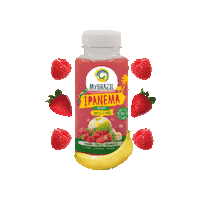 mybrazilfactory yummy healthy brasil fresh Sticker