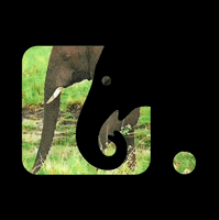 factoagencia mej facto factoagencia elefacto GIF