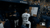 Excited Tampa Bay Rays GIF by MLB