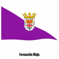 Bandera Zaragoza GIF by Formación Ninja