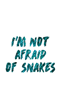 Imperial_Riding horses ir horseriding imperialriding Sticker