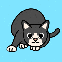 Happy Like It GIF by Quirkies