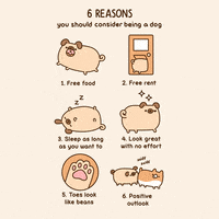 Kawaii GIF by Pusheen