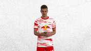 Surprised Champions League GIF by RB Leipzig