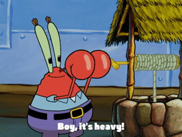 season 4 GIF by SpongeBob SquarePants