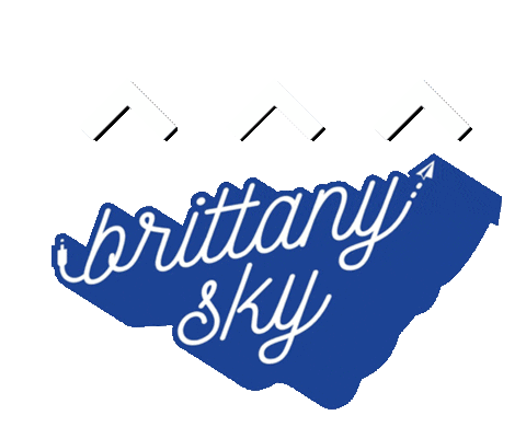 brittanyskyofficial giphyupload brittany sky Sticker