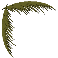 Palm Tree Beach Sticker