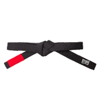 FederationJJ master uae bjj jiujitsu Sticker
