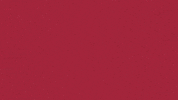 Charroslmb2025 GIF by Charros de Jalisco