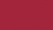 Charroslmb2025 GIF by Charros de Jalisco