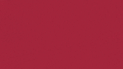 Charroslmb2025 GIF by Charros de Jalisco