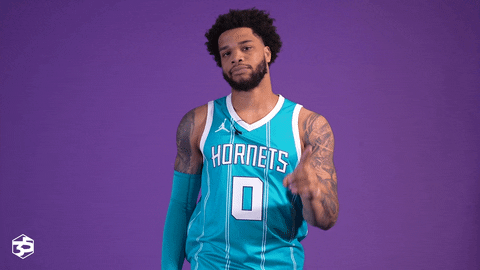 Basketball No GIF by Charlotte Hornets