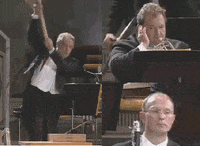 role orchestra GIF