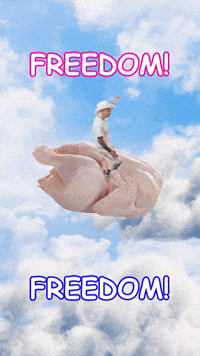 Art Fly GIF