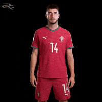 Cristiano Ronaldo Portugal GIF by Respective