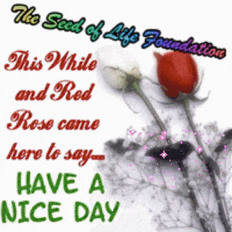 Food Grow GIF by The Seed of Life Foundation