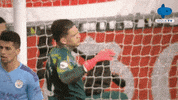 Disappointed Premier League GIF by MolaTV