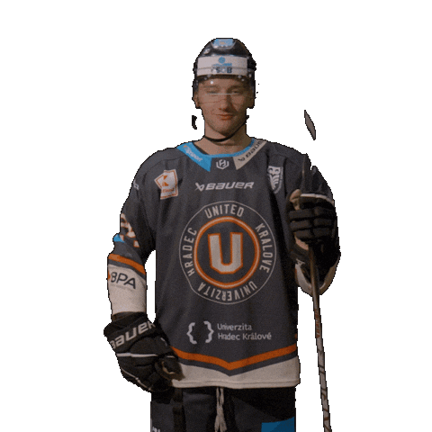 Uhk Sticker by UNIted HK