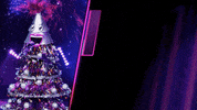 Fox GIF by The Masked Singer