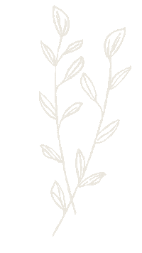 Neutrals Stems Sticker by Faith Photography