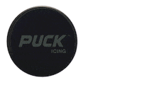 Ice Hockey Puck Sticker by SnusArena