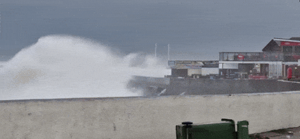 'Wild' Waves Splash Promenade in Devon