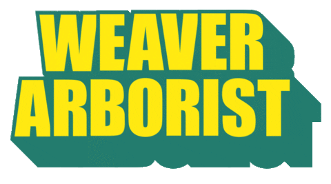 WeaverArborist giphyupload new post tree trees Sticker