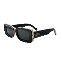 Fashion Sunglasses Sticker by CHIEFTAIN