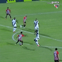 Sao Paulo GIF