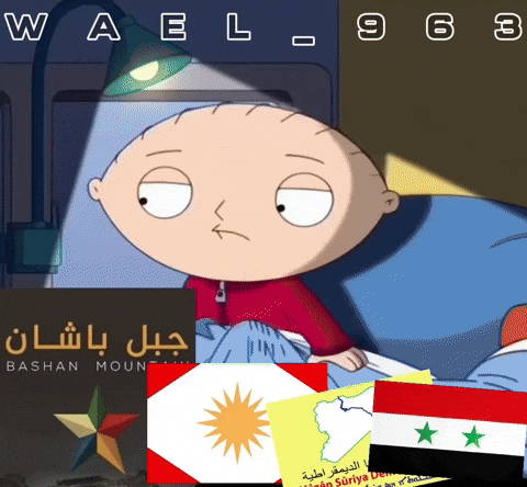 Wael GIF