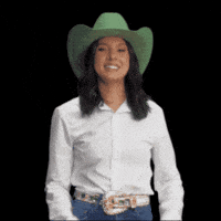 Ana Castela GIF by Sicredi