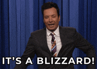 Jimmy Fallon Omg GIF by The Tonight Show Starring Jimmy Fallon