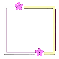 Frames Molduras Sticker