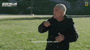 Dogwhisperer GIF by National Geographic Channel