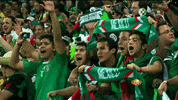 grito apoyo GIF by MiSelecciónMX