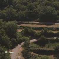 Erc GIF by FIA European Rally Championship