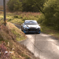 Erc GIF by FIA European Rally Championship