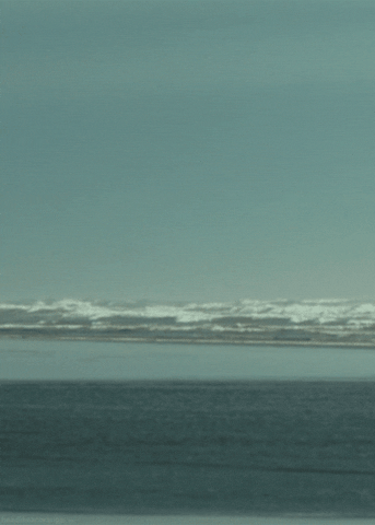 safety not guaranteed ocean GIF by Head Like an Orange