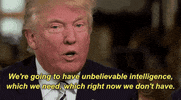 donald trump gop GIF