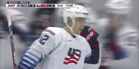 Ice Hockey America GIF by USA Hockey