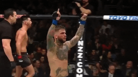ufc 207 GIF