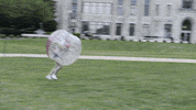 Niu Niuhuskies GIF by Northern Illinois University