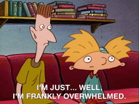 hey arnold nicksplat GIF