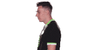 E Sports Sport Sticker by VfL Wolfsburg